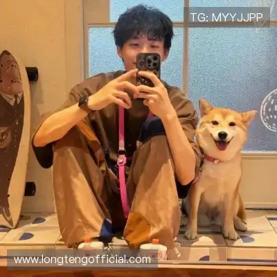 刁帆展